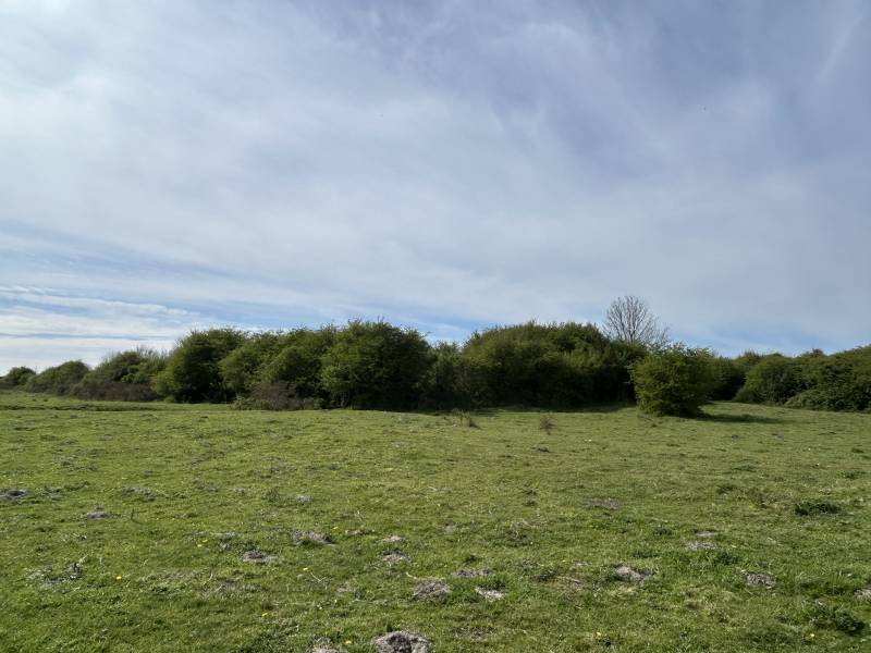 vente maisons Cayeux-sur-Mer