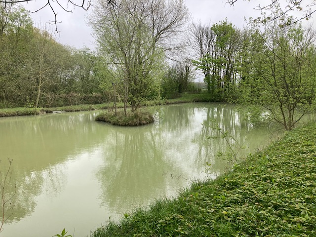 vente maisons Brutelles